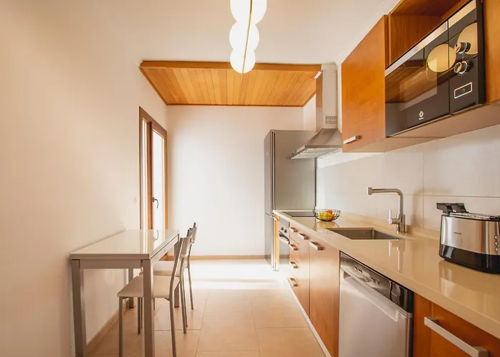 فيلة Davinci - *